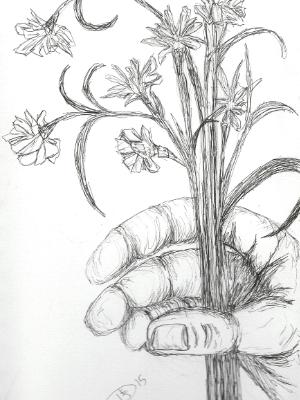 An offering of simple nothings An offering of simple nothings