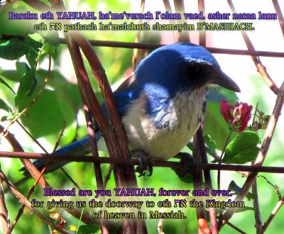 Blessing_Day 7_Shabbat Afternoon Blessing_Day 7_Shabbat Afternoon