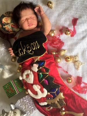 Christmas 2016 Show entry: Fearghas (S.M)