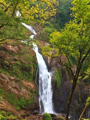 Manantial de Agua Viva Waterfalls and Trees Manantial de Agua Viva Waterfalls and Trees