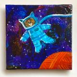 SPACECAT VISITS THE RED PLANET
