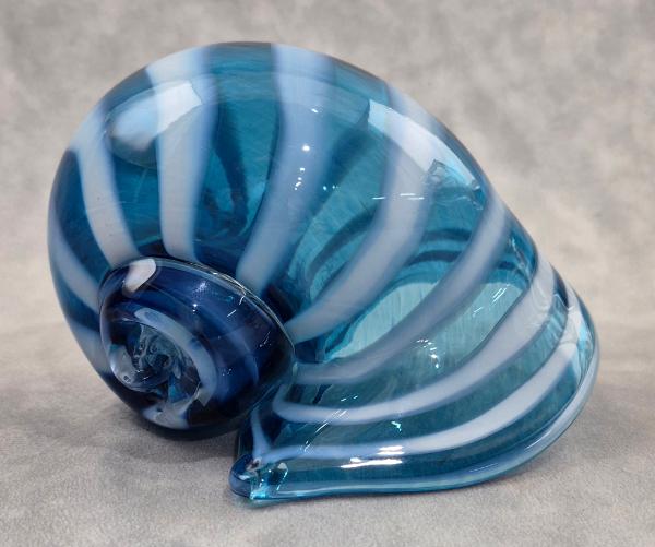 #07022602 Seashell 4''HX4''WX5.25''L $90.00