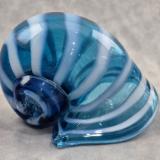 #07022602 Seashell 4''HX4''WX5.25''L $90.00