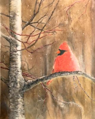 Cardinal amount the flurries