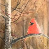 Cardinal amount the flurries