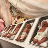 Virtual Nursery Tour ~ Click to watch the VIDEO