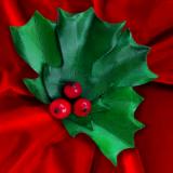 Holly and Berry Pin