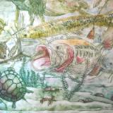 Lake Fork Aquatic