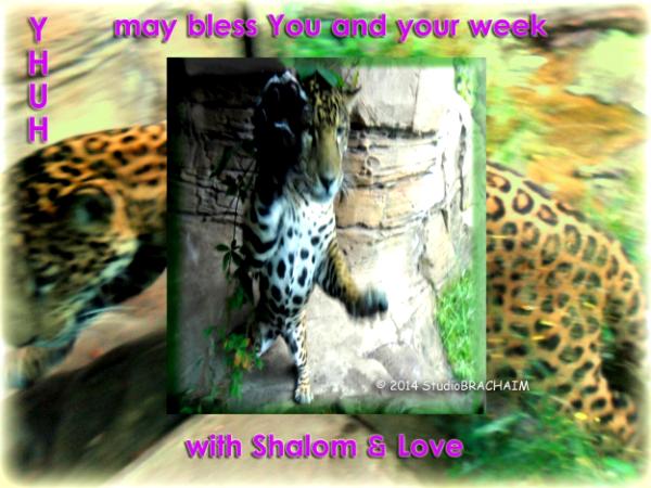 Shavuah Tov~Good week