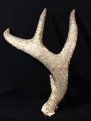 Deer Antler Deer Antler