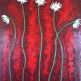 Dancing Daisies