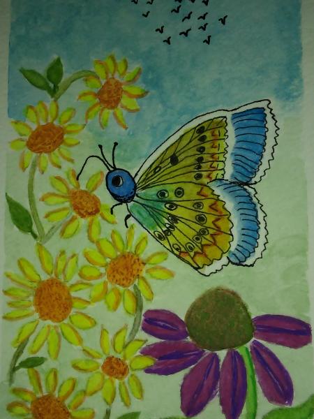 Blue and Gold Butterfly
