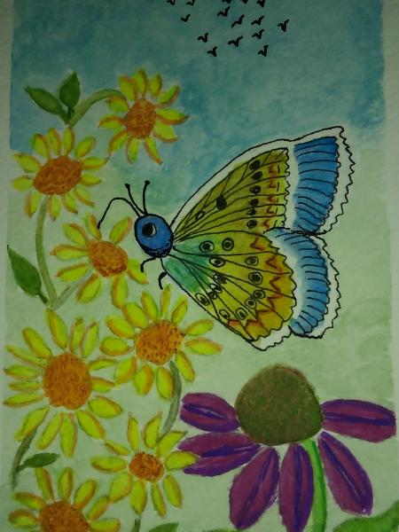 Blue and Gold Butterfly