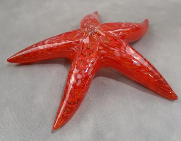 #01102620 Starfish orange with wall hanger 8'' $90.00