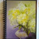 Limelights in the Soft Light Journal