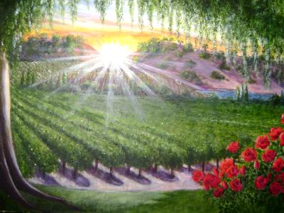 Vineyard Sunrise ~ oil ~ 24X24 ~ Sold
