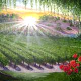 Vineyard Sunrise ~ oil ~ 24X24 ~ Sold