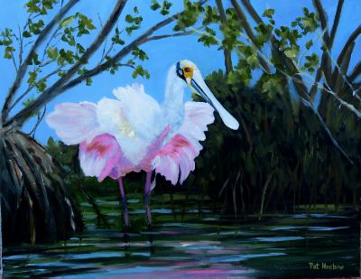 Roseate Spoonbill Ruffled Feathers
