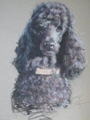 June 16x20" pastel June 16x20" pastel