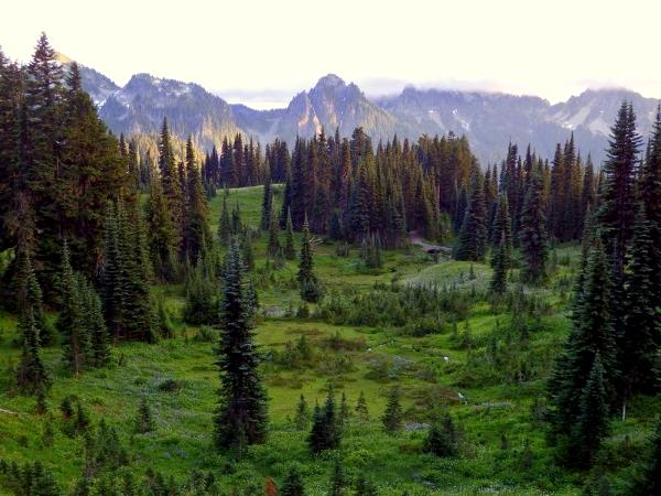 Mount Rainier National Park