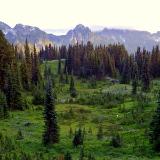 Mount Rainier National Park