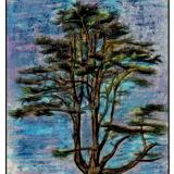 The Tree of Life. D. Lama. GGL