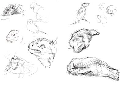 Galapagos sketches 14