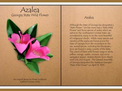 Azalea, Georgia State Wild Flower