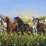 Horse and flower oil paintings