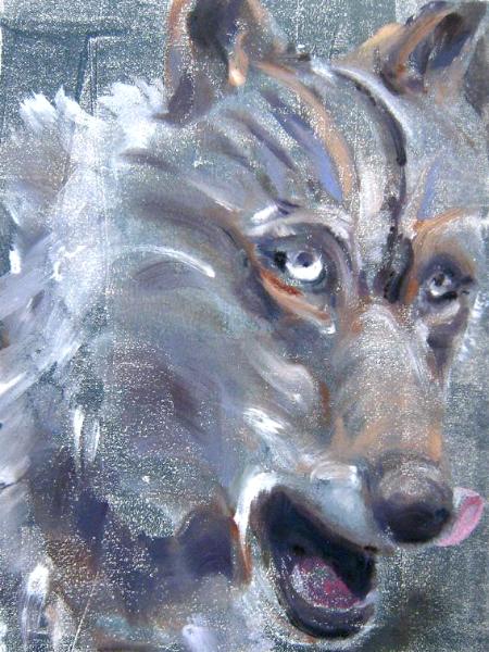 Mono Lobo 5