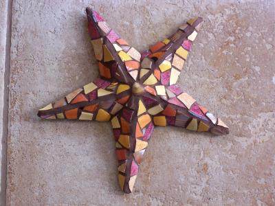 Sea Star Sea Star