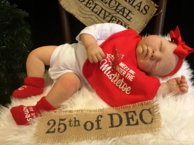 Reborn Baby Girl ~ Lisanne ~ ADOPTED/SOLD
