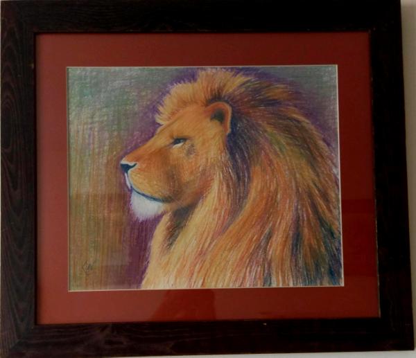 Lion Portrait 