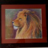 Lion Portrait 