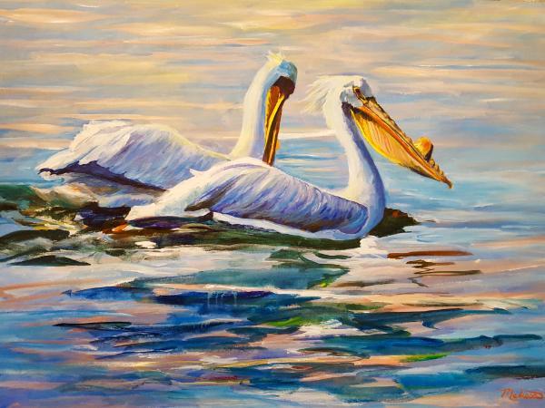 White Pelicans