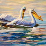 White Pelicans