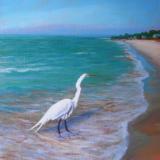 Egret