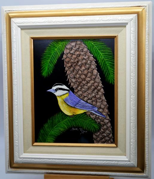 Nuthatch on Pinecone