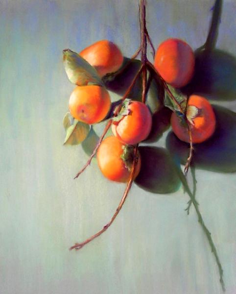 Persimmon Branch