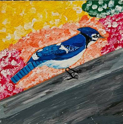 Blue Jay Blue Jay