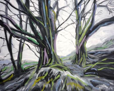 Beech trees in winter, Exmoor