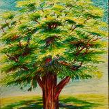 katnaj Artworks    *Colors in Harmony*   Earth,  Life,  Nature