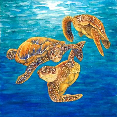 Dance of the Turtles Dance of the Turtles