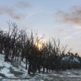 "No Quarter Mission 2"