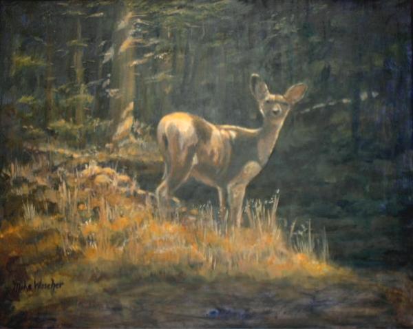 Deer at Night