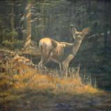 Deer at Night