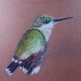 Patricia Gray, Fine Arts