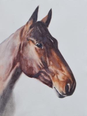 KEITARO, 25cm x 35cm, 2017 KEITARO, 25cm x 35cm, 2017