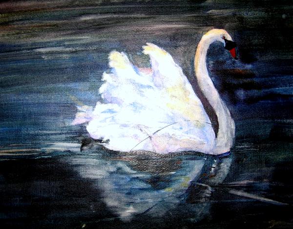 Villa Borghese Swan