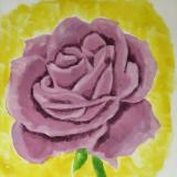 Violet Rose on Yellow